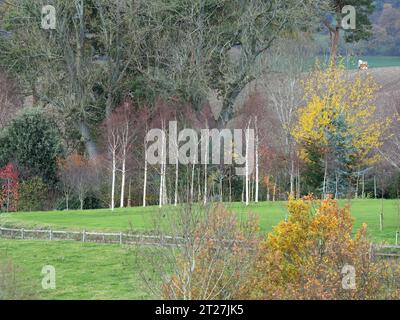 Ackerland im Clun Valley bei Craven Arms, Shropshire, Großbritannien Stockfoto
