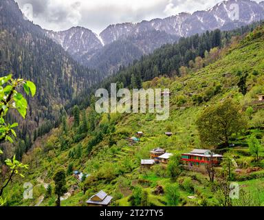 Terrassiertes Ackerland im Himalaya-Gebirge in der Nähe des Dorfes Sharchi in Himachal Pradesh, Indien Stockfoto