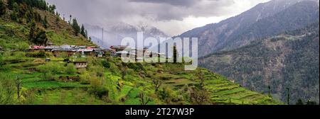 Terrassenlandschaft und Apfelgärten rund um das Dorf Sharchi in Himachal Pradesh Stockfoto