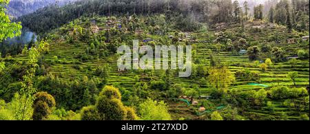 Farbenfrohe Häuser im Himalaya-Dorf Jibhi auf dem Berghang im Banjar-Tal Stockfoto