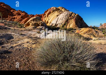 Felsvorsprung im Gold Butte National Monument, Nevada, USA. Stockfoto