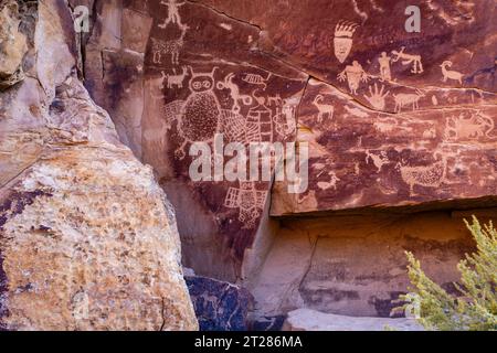 Eulenplatte. Petroglyph befindet sich im Nine Mile Canyon, der weltweit größten Kunstgalerie im Freien, West Tavaputs Plateau, in der Nähe von Price, Utah, USA. Stockfoto