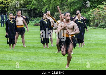 Maori-Krieger führen ein Powhiri (maori-Willkommen) für König Willem-Alexander und Königin Maxima von den Niederlanden bei der offiziellen Begrüßungszeremonie im Regierungsgebäude in Wellington, Neuseeland Stockfoto