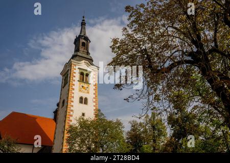 Die Wallfahrtskirche Marias Himmelfahrt auf der Insel Bled mitten im Bleder See, Slowenische Alpen, Slowenien. Stockfoto