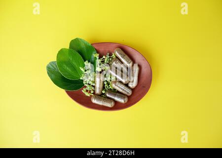 Kräutermedizin in Kapseln mit Bidarablättern auf gelbem Hintergrund mit Holzlöffel Stockfoto