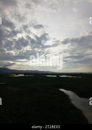 Blick auf die Wasserhyazinthe Lake Limboto. Blick auf die Wasserhyazinthe Lake Limboto. Detaillierte Sicht auf den See mit gewöhnlichen Wasserhyazinthen, Wasserpflanze Stockfoto