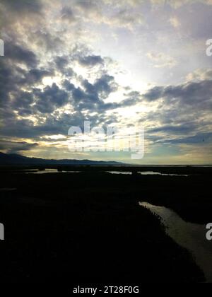 Blick auf die Wasserhyazinthe Lake Limboto. Blick auf die Wasserhyazinthe Lake Limboto. Detaillierte Sicht auf den See mit gewöhnlichen Wasserhyazinthen, Wasserpflanze Stockfoto