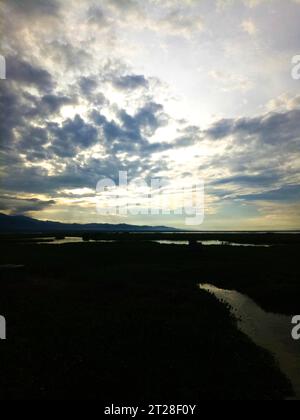 Blick auf die Wasserhyazinthe Lake Limboto. Blick auf die Wasserhyazinthe Lake Limboto. Detaillierte Sicht auf den See mit gewöhnlichen Wasserhyazinthen, Wasserpflanze Stockfoto