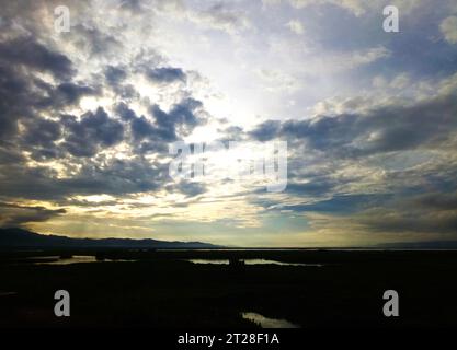 Blick auf die Wasserhyazinthe Lake Limboto. Blick auf die Wasserhyazinthe Lake Limboto. Detaillierte Sicht auf den See mit gewöhnlichen Wasserhyazinthen, Wasserpflanze Stockfoto