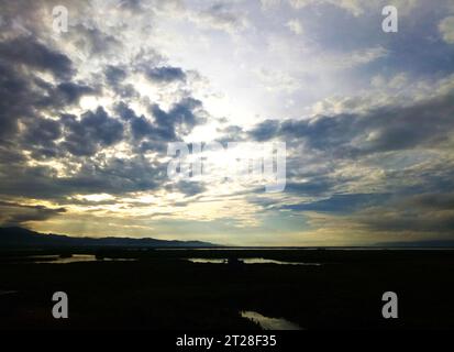 Blick auf die Wasserhyazinthe Lake Limboto. Blick auf die Wasserhyazinthe Lake Limboto. Detaillierte Sicht auf den See mit gewöhnlichen Wasserhyazinthen, Wasserpflanze Stockfoto