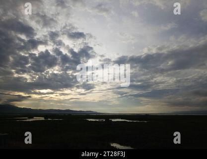 Blick auf die Wasserhyazinthe Lake Limboto. Blick auf die Wasserhyazinthe Lake Limboto. Detaillierte Sicht auf den See mit gewöhnlichen Wasserhyazinthen, Wasserpflanze Stockfoto