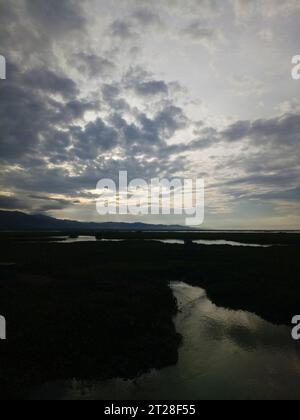 Blick auf die Wasserhyazinthe Lake Limboto. Blick auf die Wasserhyazinthe Lake Limboto. Detaillierte Sicht auf den See mit gewöhnlichen Wasserhyazinthen, Wasserpflanze Stockfoto