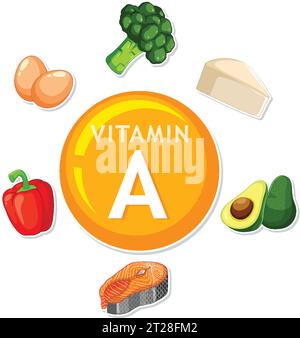 Illustration of nutrient-rich foods with vitamin A for a healthy lifestyle Stock Vektor