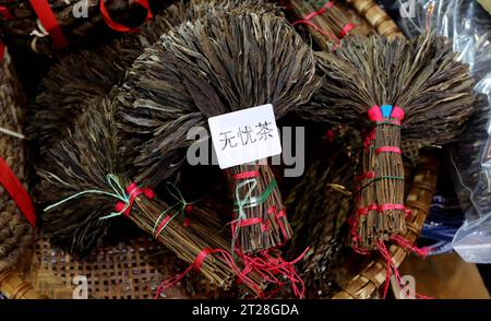 Die 15. China Yunnan Pu'er Tea International Expo Fair zieht Besucher in Kunming, südwestchinesische Provinz Yunnan, 14. Oktober 2023 an. Stockfoto