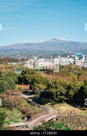 Hallasan Mountain und Geolmae Eco Park Olle Trail auf der Insel Jeju, Korea Stockfoto