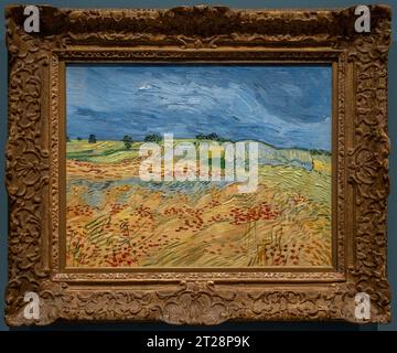 Paris, Frankreich - 10 08 2023: Museum Orsay. Die von Vincent Van Gogh gemalten Felder Stockfoto