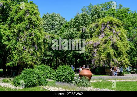 Bukarest, Rumänien, 9. Mai 2021: Minimalistische Gartenlandschaft mit Linden und grünen Blättern in der Nähe des Haupteingangs an einem sonnigen Sommertag in Cismigiu G Stockfoto