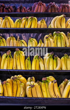 Drei verschiedene Arten von Bananen auf der Theke in einem Geschäft Stockfoto