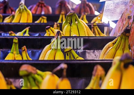 Drei verschiedene Arten von Bananen auf der Theke in einem Geschäft Stockfoto