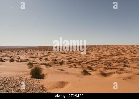 Sahara Wüstendünen - Pfad durch die Wüste Stockfoto