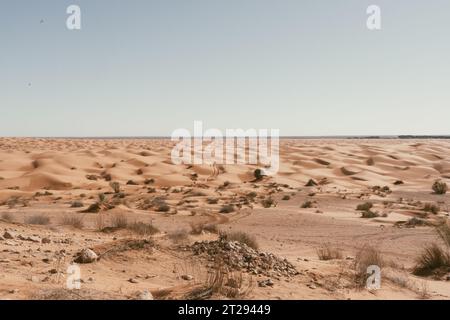 Sahara Wüstendünen - Pfad durch die Wüste Stockfoto