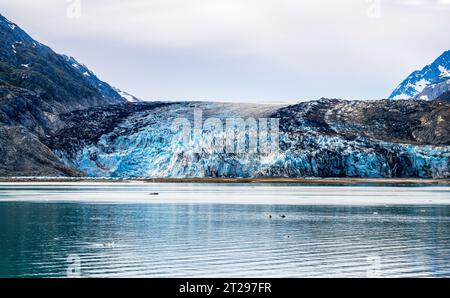 Der Lamplugh Glacier ist 13 Meilen lang und endet hier im Johns Hopkins Inlet, Glacier Bay National Park and Preserve, Alaska, USA. Stockfoto