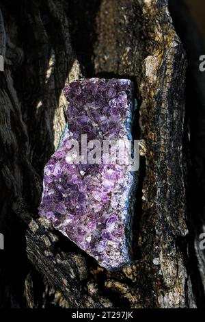 Wunderschöner violetter Amethyst-Kristallcluster Stockfoto