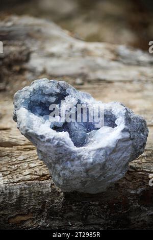 Wunderschöne Kristall-Geode der celestine (Celestit) Stockfoto