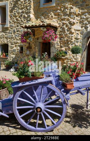 Alte blaue, französische Heukarre mit hängenden Körben mit Blumen in Castellane, Provence, Frankreich. Stockfoto