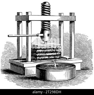 Digital restaurierte Illustration aus der „kondensierten amerikanischen Enzyklopädie“, veröffentlicht im 19. Jahrhundert. Stockfoto