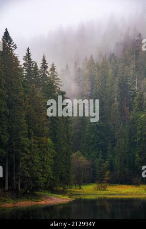 Bergsee zwischen Wald im Herbst. Naturkulisse im Nebel bei Sonnenaufgang Stockfoto