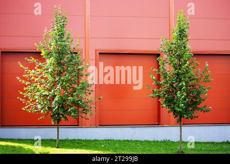 Rote Tür und Wand mit grünen Bäumen und Gras Stockfoto