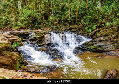 Fluss im Wald im Bundesstaat Minas Gerais, Brasilien Stockfoto