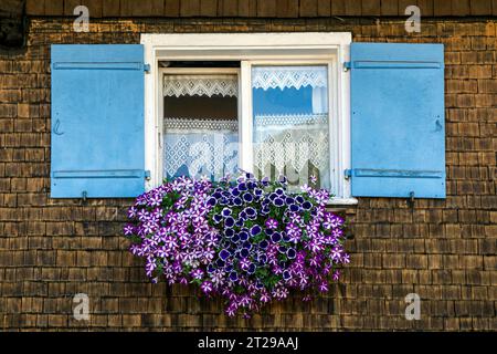 Fenster mit Geranien auf einem alten Bauernhof, Oberstdorf, Oberallgaeu, Allgaeu, Bayern, Deutschland Stockfoto