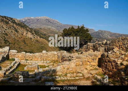 Doric Ausgrabungsstätte, Morgenlicht, Wände, Berggipfel, Baum, Lato, Kritsa, Provinz Lassithi, Kreta, Griechenland Stockfoto