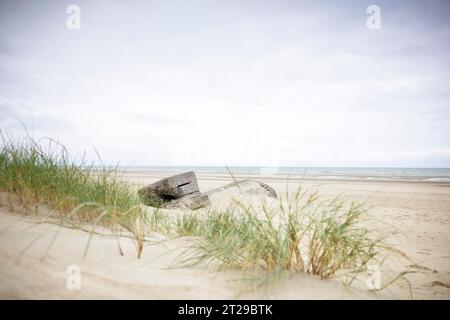 Zerstörte Bunker in den Dünen von Dünkirchen, Nordsee, Hauts-de France, Frankreich Stockfoto