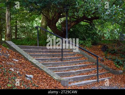 Tote Blätter liegen auf einigen alten Steintreppen, ein schwarzer Eisenhandlauf mit Rollenden läuft in der Mitte hinauf. Stockfoto