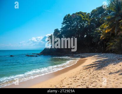 Wunderschöner paradiesischer Strand namens Cocalito in Punta de Sal, Tela. Honduras Stockfoto