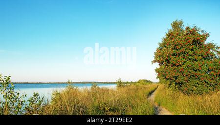 Ewiges Meer, Naturschutzgebiet, Ostfriesland, Deutschland Stockfoto