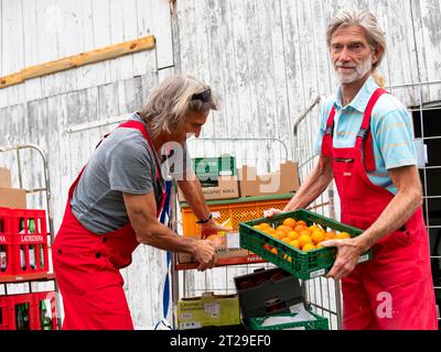 Lieferung im Bio-Handel, Männer Entladewagen vor dem Lager, Bio-Obstkisten mit Mandarinen, Versorgung Einzelhandel, Deutschland Stockfoto