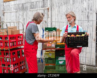 Lieferung im Bio-Handel, Männer Entladewagen vor dem Lager, Bio-Obstboxen, Versorgung Einzelhandel, Deutschland Stockfoto