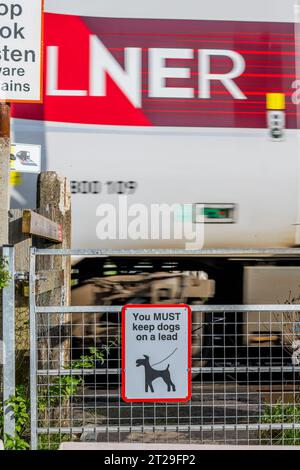 Sie müssen Hunde auf der Spur halten, Warnschilder an Bahnübergängen auf der East Coast Mainline Railway. Stockfoto