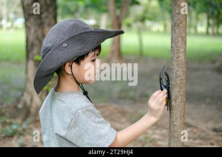 Ein asiatischer Junge, der einen Hut in einem Wald-Erkundungsanzug trägt, spielt mit einem Käfer, der sich an einem Baum festhält. Stockfoto