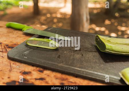 Aloe Vera saftiges grünes Heilpflanze-Blatt mit Dornen zusammen mit Gel geschnittenen Stücken auf schäbige Metalloberfläche mit einem Messer gegen verschwommenes Hintergras gelegt Stockfoto