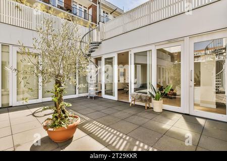 Olivenbäume und Pflanzen wachsen auf der Terrasse und Wendeltreppe, die zum Dach des modernen weißen Hauses an sonnigen Tagen führt Stockfoto