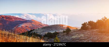 Bild eines malerischen Tals im Morgenlicht. Lage Krim, Halbinsel Krim, Ukraine, Europa. Perfekte Hintergrundbilder. Entdecken Sie die Schönheit der Erde. Gr Stockfoto