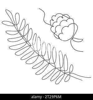 Lineares Symbol für Zeder- und Kiefernpollen. Zweig mit Nadeln, Tannenzapfen. Durchgehende Linienzeichnung. Anpassbare Darstellung für dünne Linien. Kontursymbol. V Stock Vektor