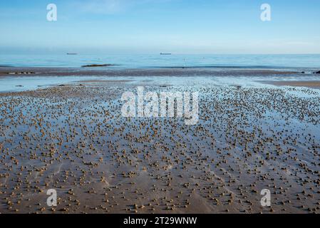 Lugworm wirft in den Sand auf Traeth Bychan, einem Strand an der Ostküste von Anglesey, Nordwales. Stockfoto