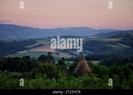 Grüne Blätter der Kirschbäume und ein Flickenteppich aus Wäldern und Bauernhöfen in der Abenddämmerung in den sanften Hügeln der französischen Landschaft in der Nähe von Le Bois-d'Oingt, Frankreich Stockfoto