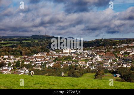 Schafe grasen ruhig mit Blick auf die Häuser der Stadt St. Austell, mit Hügeln in der Ferne, Cornwall. Stockfoto